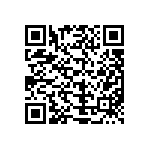 L1Q0-5770000001300 QRCode