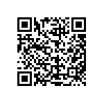 L2C2-30901205E1300 QRCode