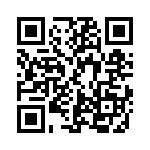 LCS_132_GTP QRCode