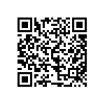 LSS1-04C22-4080-00 QRCode