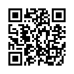 M2T13S4A5G13 QRCode