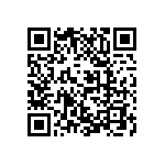 M55342E04B291BRT5 QRCode