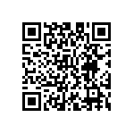 M55342E06B1E74RTF QRCode