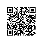 M55342E06B4E32PT5 QRCode