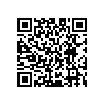 M55342H03B28B7RT5 QRCode