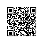 M55342H03B51D1RT5 QRCode