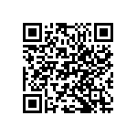 M55342H04B13B8RWS QRCode