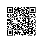 M55342H04B1E00RT5 QRCode