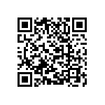 M55342H04B27H0RT0 QRCode