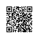 M55342H04B28E0RWS QRCode