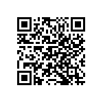 M55342K02B102ARWS QRCode