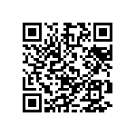 M55342K02B10B0RT1 QRCode