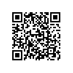 M55342K02B121ARWS QRCode