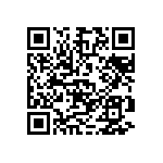 M55342K02B301ARWS QRCode