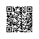 M55342K04B100DPT0V QRCode