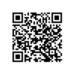 M55342K04B11B3RT5 QRCode