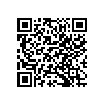 M55342K06B16B0RBS QRCode