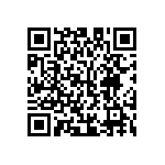 M55342K12B100BRT5 QRCode