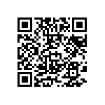 MKP383322025JD02G0 QRCode