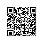 MKP383513100JPM5T0 QRCode