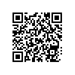 MKP385333063JC02Z0 QRCode