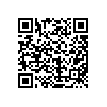 MKP385430063JKI2B0 QRCode