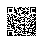 MKP385433063JIP2T0 QRCode