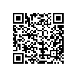 MKP385543063JPP2T0 QRCode