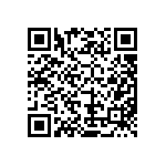 MKP385575063JPP4T0 QRCode