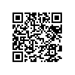 MKP386M456250YT8 QRCode