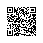 MP22T1-C24-4080-T4B-1-00 QRCode