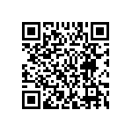 MP4-1B-1B-1D-1D-IIN-00 QRCode