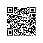 NESG250134-EVPW04 QRCode