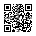 NZX3V0A-133 QRCode