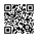 P0640EBL QRCode