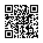 P4KE130-B QRCode