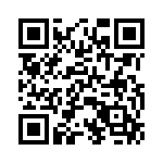 P4KE13C QRCode