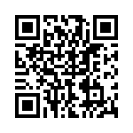 P4KE22C QRCode