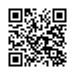 P4KE24CA QRCode