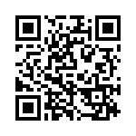 P4KE33 QRCode