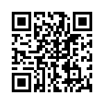 P4KE33A-B QRCode