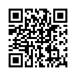 P4KE33C QRCode