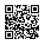 P4KE400C-G QRCode