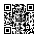 P4KE510C QRCode