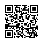 P6KE300A-B0G QRCode