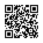 P6KE33CA QRCode