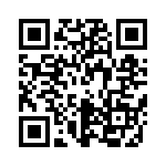 P6SMB13AHM4G QRCode