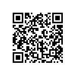 PA46-4-300-NO1-NP QRCode