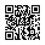 PE-63386NL QRCode