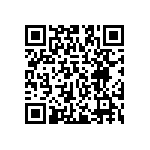 PE2512DKM7W0R039L QRCode